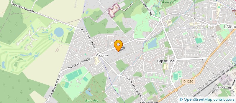 localisation de l'entreprise MONSIEUR HUGO DIRIDOLLOU à PESSAC