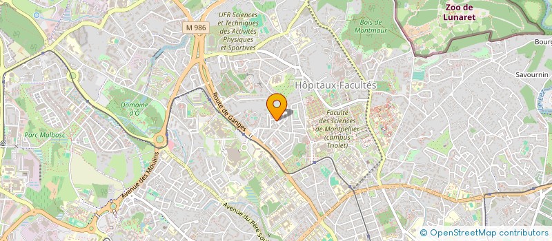 localisation de l'entreprise MONSIEUR HUGO ETTORE à MONTPELLIER