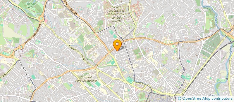 localisation de l'entreprise MONSIEUR HUGO FREYERMUTH à MONTPELLIER