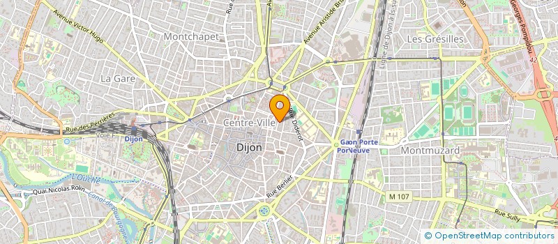 localisation de l'entreprise MONSIEUR HUGO LELONG à DIJON