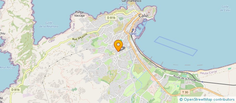 localisation de l'entreprise MONSIEUR HUGO MAINETTI à CALVI