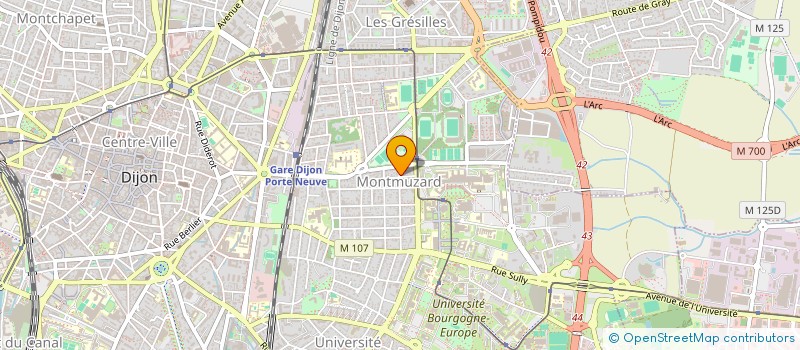 localisation de l'entreprise MONSIEUR HUGO MARTIN  DIJON