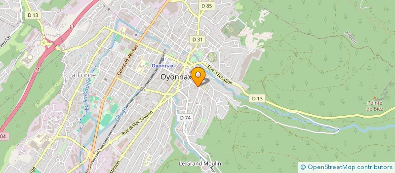 localisation de l'entreprise MONSIEUR HUGO MONTEIRO à OYONNAX