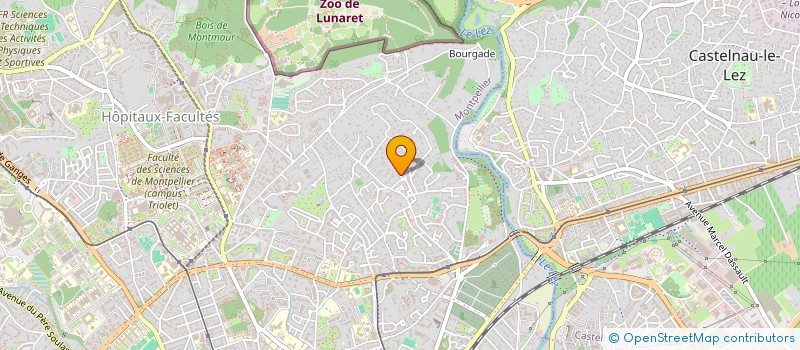 localisation de l'entreprise MONSIEUR HUGO PETIT  MONTPELLIER