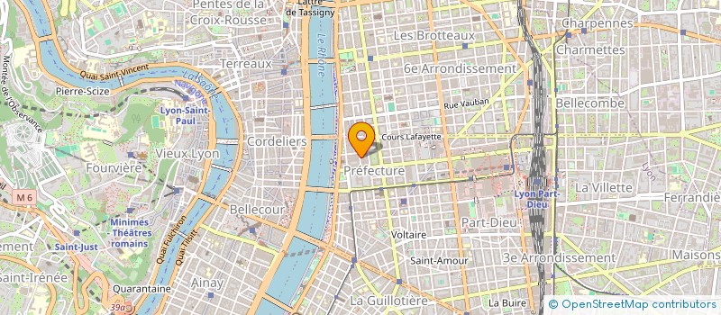 localisation de l'entreprise MONSIEUR HUGO PINTURIER  LYON