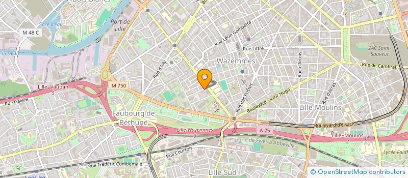 localisation de l'entreprise MONSIEUR HUGO PROT à LILLE