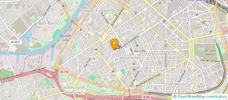 localisation de l'entreprise MONSIEUR HUGO SANTINI à LILLE