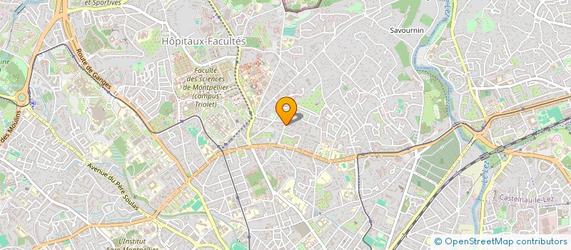 localisation de l'entreprise MONSIEUR HUGO SCHWAAR à MONTPELLIER
