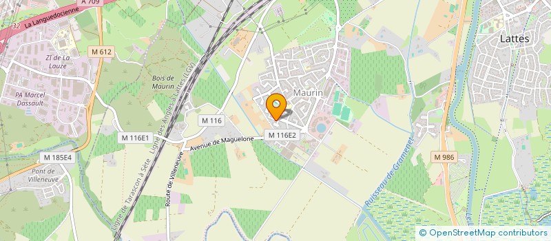 localisation de l'entreprise MONSIEUR HUGUES JUNCA à LATTES