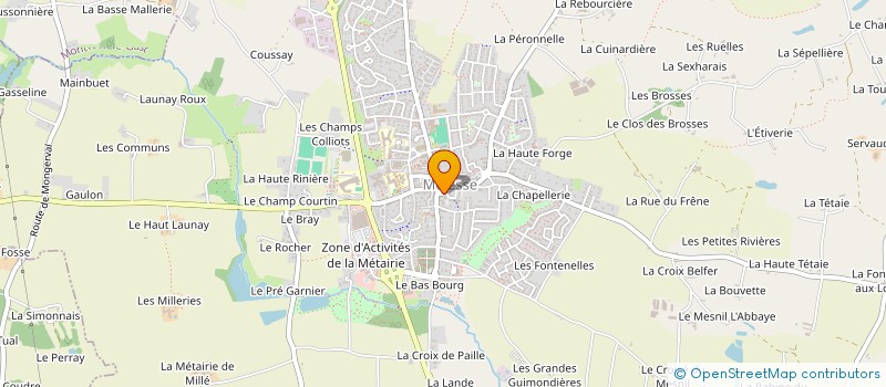 localisation de l'entreprise MONSIEUR HUGUES LASSERE à MELESSE