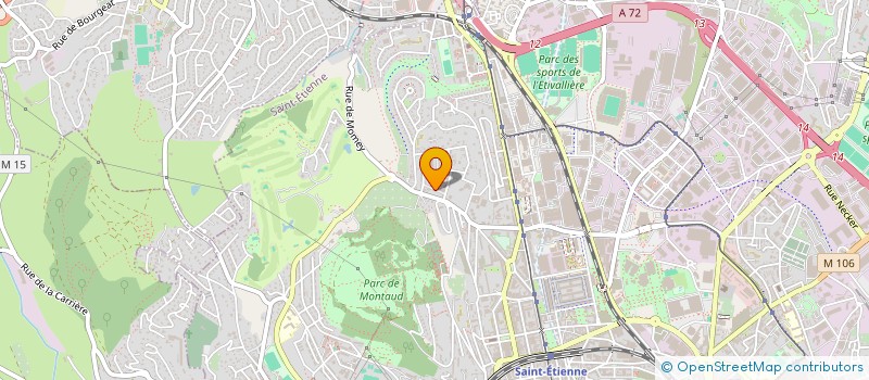 localisation de l'entreprise MONSIEUR HUGUES LUYEYE MAKELA  SAINT-ETIENNE