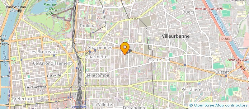 localisation de l'entreprise MONSIEUR HUNG MANH NGUYEN  VILLEURBANNE