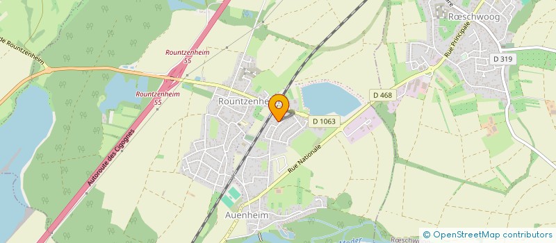 localisation de l'entreprise MONSIEUR HUSEYIN YILDIZ  STRASBOURG