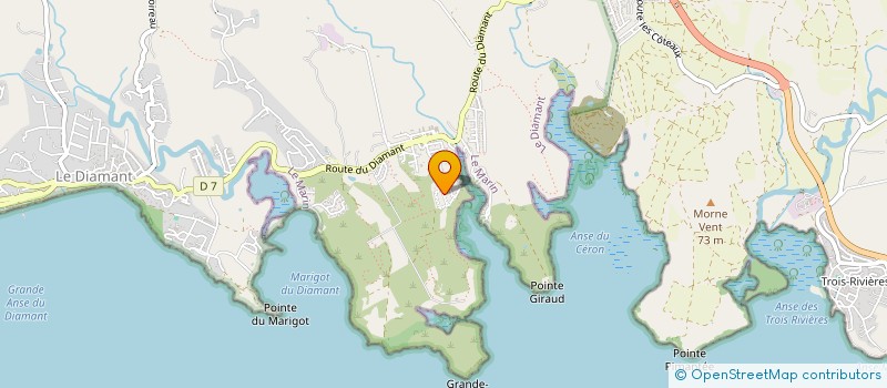 localisation de l'entreprise MONSIEUR IANIS MASSAL  LE DIAMANT