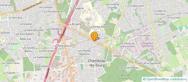 localisation de l'entreprise MONSIEUR IANIS MOUGET  CHAMBRAY-LES-TOURS