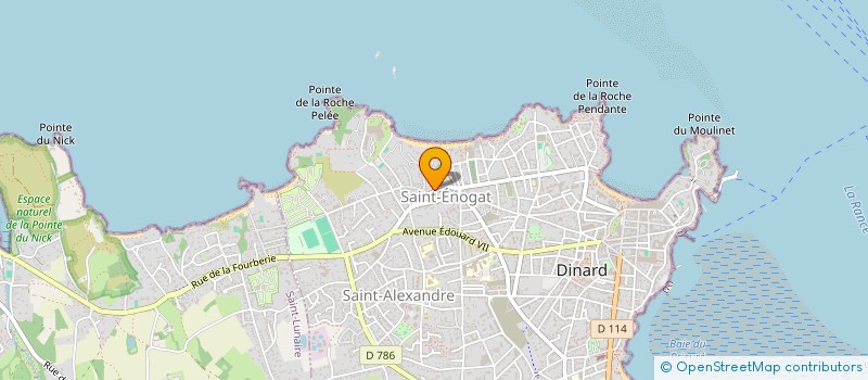 localisation de l'entreprise MONSIEUR IANIS OLIVEIRA à DINARD