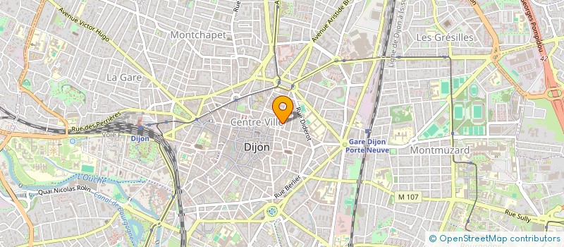 localisation de l'entreprise MONSIEUR IBRAHEM NASSRI  DIJON