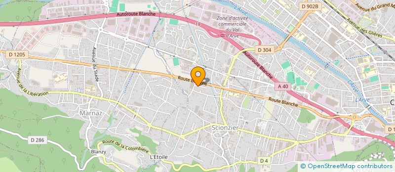 localisation de l'entreprise MONSIEUR IBRAHIM ADIBELLI  SCIONZIER