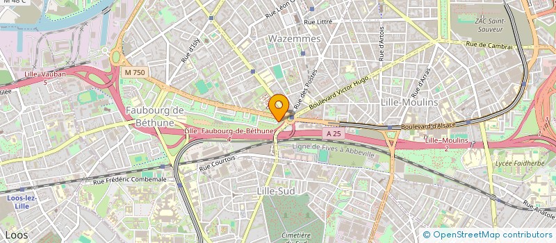 localisation de l'entreprise MONSIEUR IBRAHIM AFKIR à LILLE