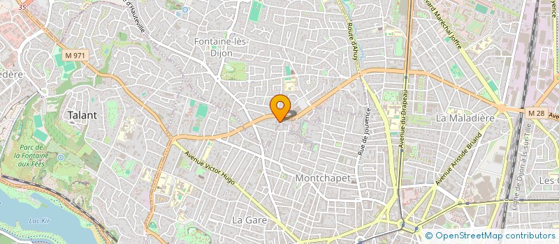 localisation de l'entreprise MONSIEUR IBRAHIM AHMAD ADAM  DIJON