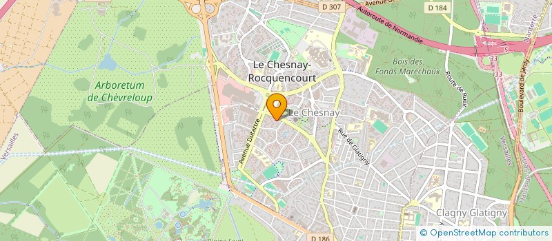 localisation de l'entreprise MONSIEUR IBRAHIM BOB ALI AHMAD  LE CHESNAY-ROCQUENCOURT