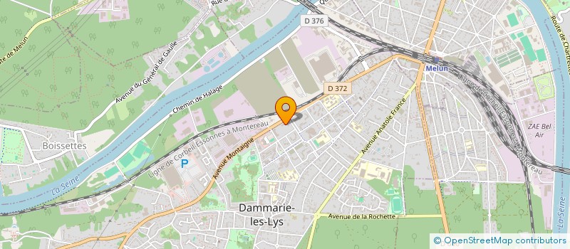 localisation de l'entreprise MONSIEUR IBRAHIM DIALLO à DAMMARIE-LES-LYS