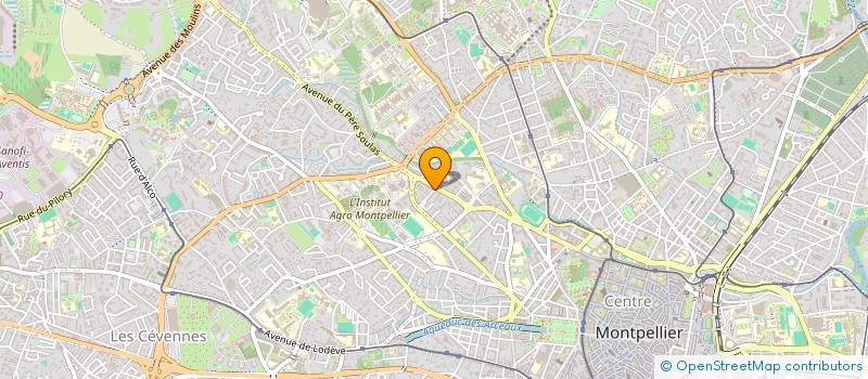 localisation de l'entreprise MONSIEUR IBRAHIM FOFANA à MONTPELLIER