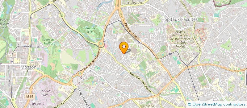 localisation de l'entreprise MONSIEUR IBRAHIM GURSOY à MONTPELLIER