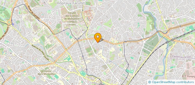 localisation de l'entreprise MONSIEUR IBRAHIM ROBERT  MONTPELLIER