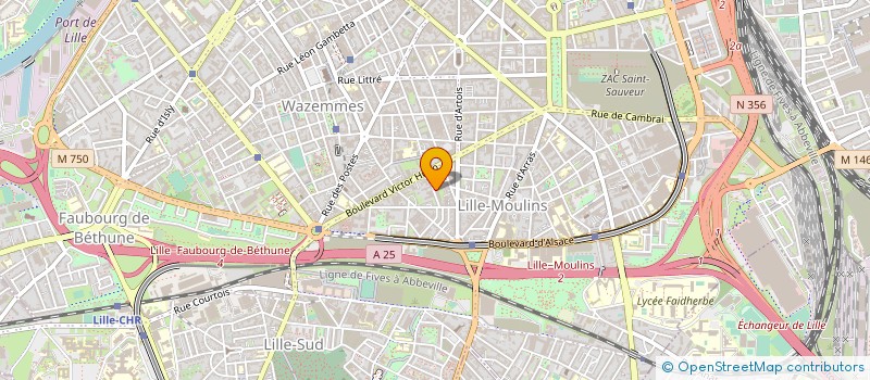 localisation de l'entreprise MONSIEUR IBRAHIM SY SAVANE à LILLE