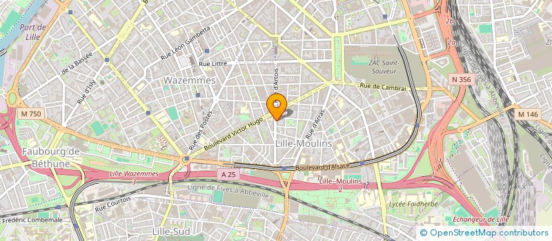 localisation de l'entreprise MONSIEUR IBRAHIMA DANSO  LILLE