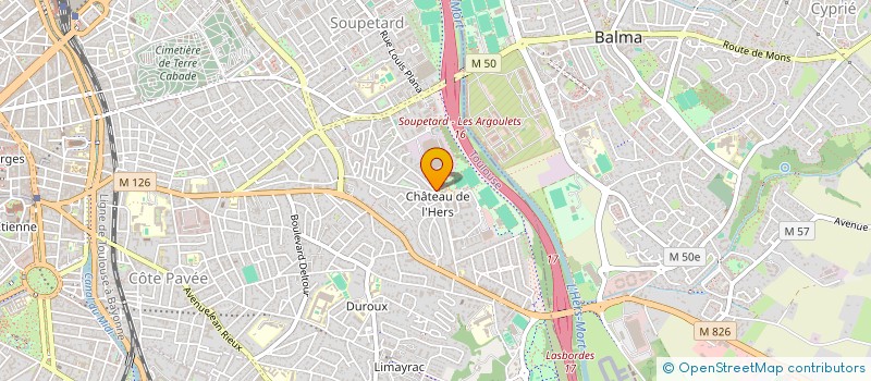 localisation de l'entreprise MONSIEUR IBRAHIMA DIALLO  TOULOUSE