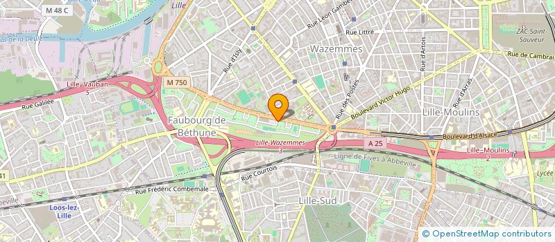 localisation de l'entreprise MONSIEUR IBRAHIMA SYLLA à LILLE