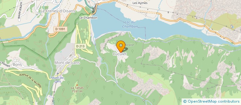 localisation de l'entreprise MONSIEUR ICARO CANNONS RODRIGUEZ  LES DEUX ALPES