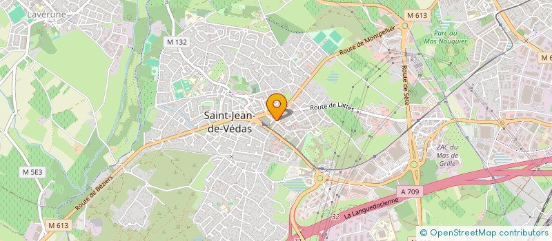 localisation de l'entreprise MONSIEUR ICHAM TOUIL  SAINT-JEAN-DE-VEDAS