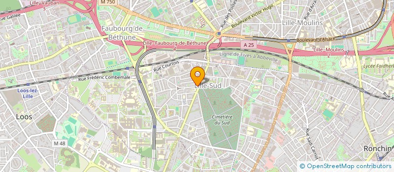 localisation de l'entreprise MONSIEUR IDIR HOUAS à LILLE