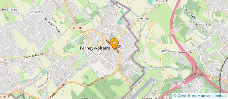 localisation de l'entreprise MONSIEUR IDIR ZAMOUM à FERNEY-VOLTAIRE