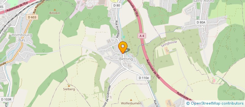 localisation de l'entreprise MONSIEUR IDO LONGU  FORBACH