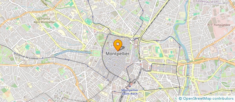 localisation de l'entreprise MONSIEUR IDRIS EL MOUTAOUKKIL à MONTPELLIER