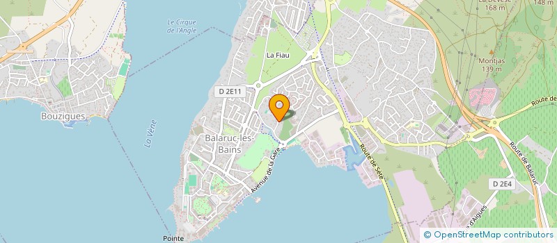 localisation de l'entreprise MONSIEUR IDRISS ABDECHAFI  BALARUC-LES-BAINS