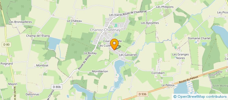 localisation de l'entreprise MONSIEUR IDRISS ALLIRAND  CHANOZ-CHATENAY