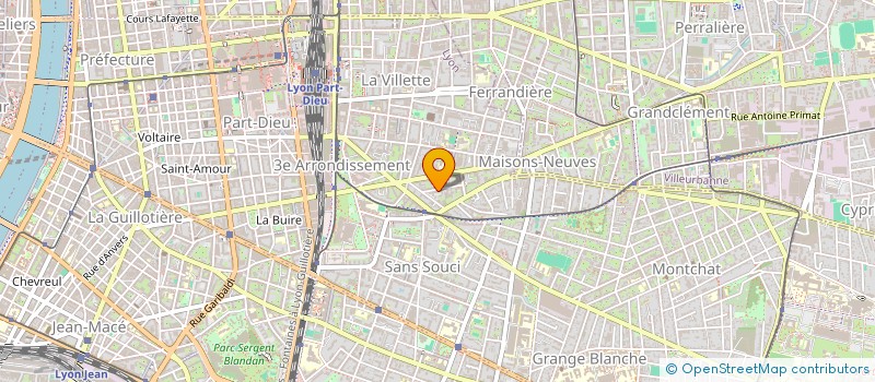 localisation de l'entreprise MONSIEUR IDRISS GASS  LYON