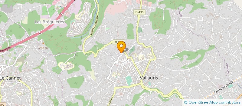 localisation de l'entreprise MONSIEUR IDRISS HIMOUD à VALLAURIS