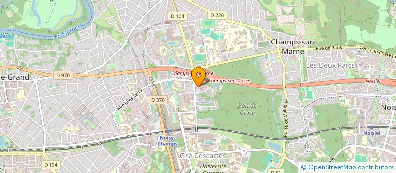 localisation de l'entreprise MONSIEUR IDRISS ROBALO TAVARES  CHAMPS-SUR-MARNE