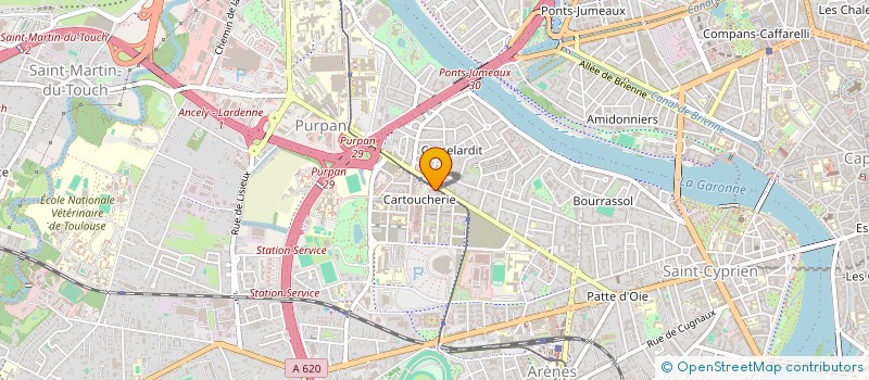 localisation de l'entreprise MONSIEUR IDRISS ZAYANI  TOULOUSE