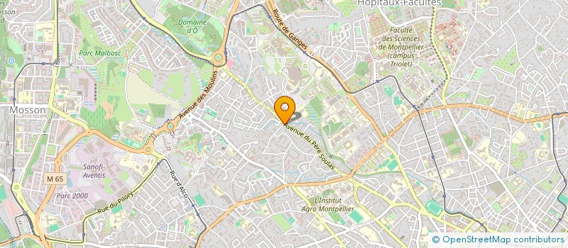 localisation de l'entreprise MONSIEUR IDRISSA FALL à MONTPELLIER