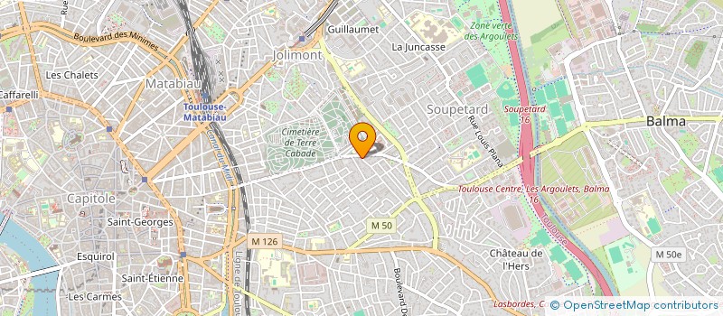 localisation de l'entreprise MONSIEUR IGNACIO JAVIER RAPOSO FIORENTINO à TOULOUSE