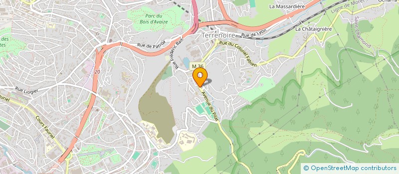 localisation de l'entreprise MONSIEUR IGNAS MISKINIS  SAINT-ETIENNE