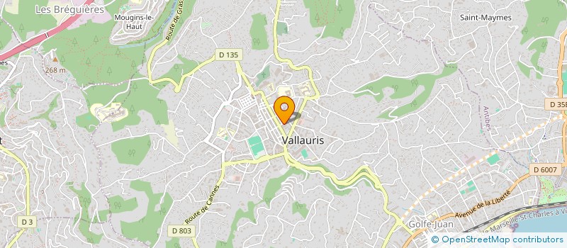 localisation de l'entreprise MONSIEUR IGOR CIBOTARI  VALLAURIS