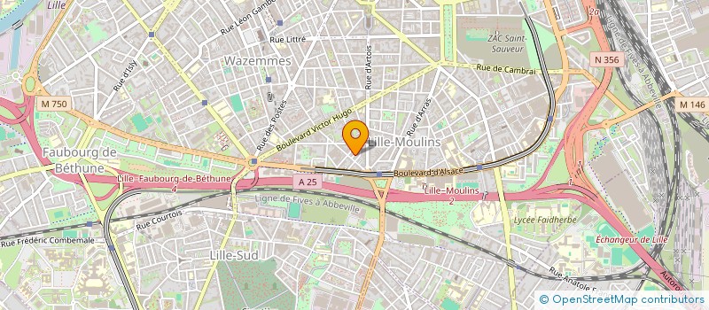 localisation de l'entreprise MONSIEUR IGOR DEDEKEN à LILLE